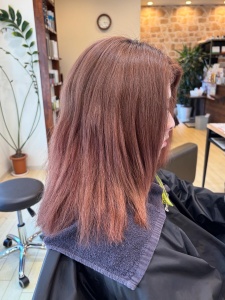 9EF2FD74-7D54-466E-8B5D-B60433AD3F0C